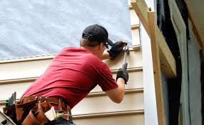 Best Custom Trim and Detailing for Siding  in Detroit Beach, MI